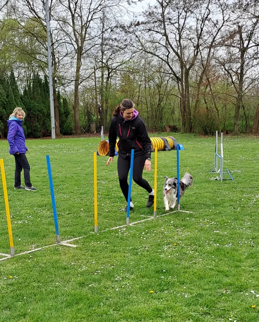 Hund und Hundeführerin beim Slalom im Agility-Parcours